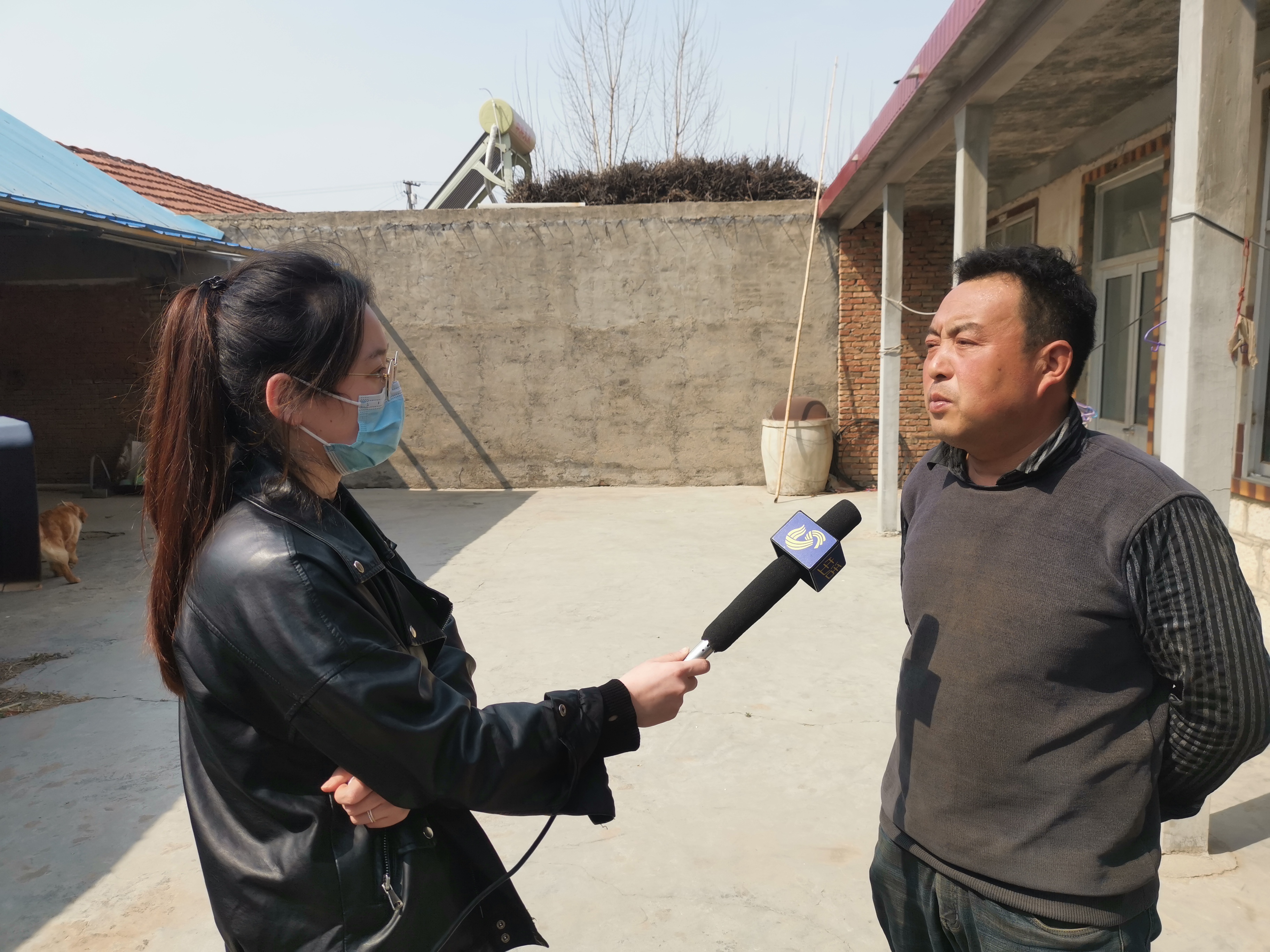 第209所 平度市崔家集镇状元府安博在线_安博在线(中国)刘丽新小学 第209所 平度市崔家集镇状元府安博在线_安博在线(中国)刘丽新小学