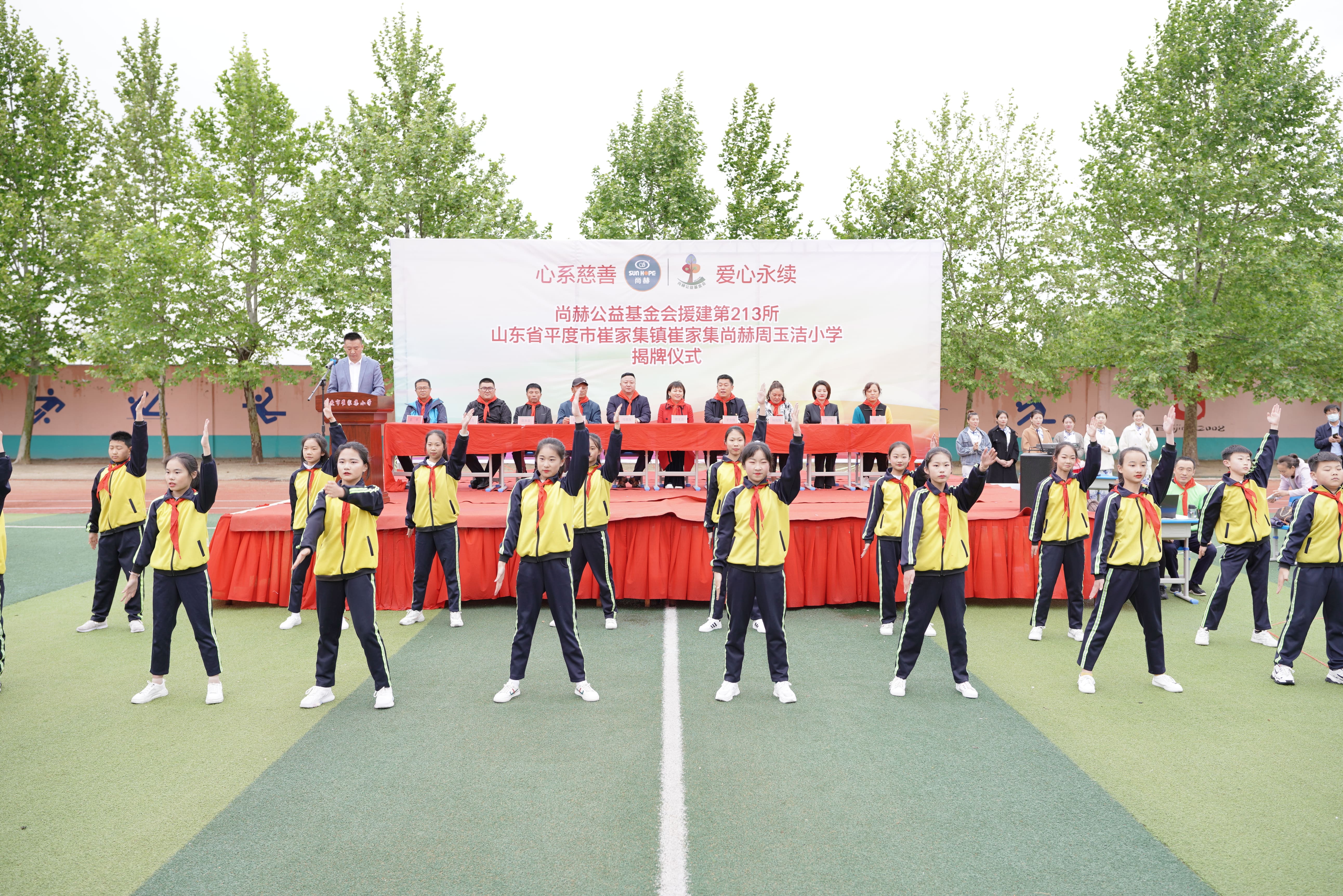 第213所 平度市崔家集镇崔家集安博在线_安博在线(中国)周玉洁小学